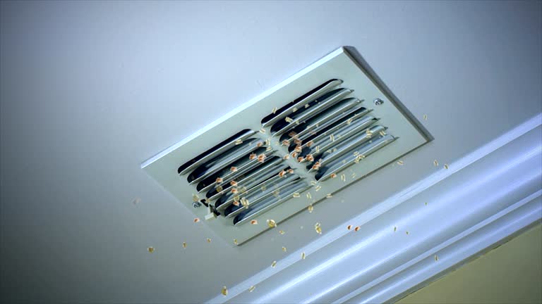 Best Residential Air Duct Cleaning  in Latta, SC